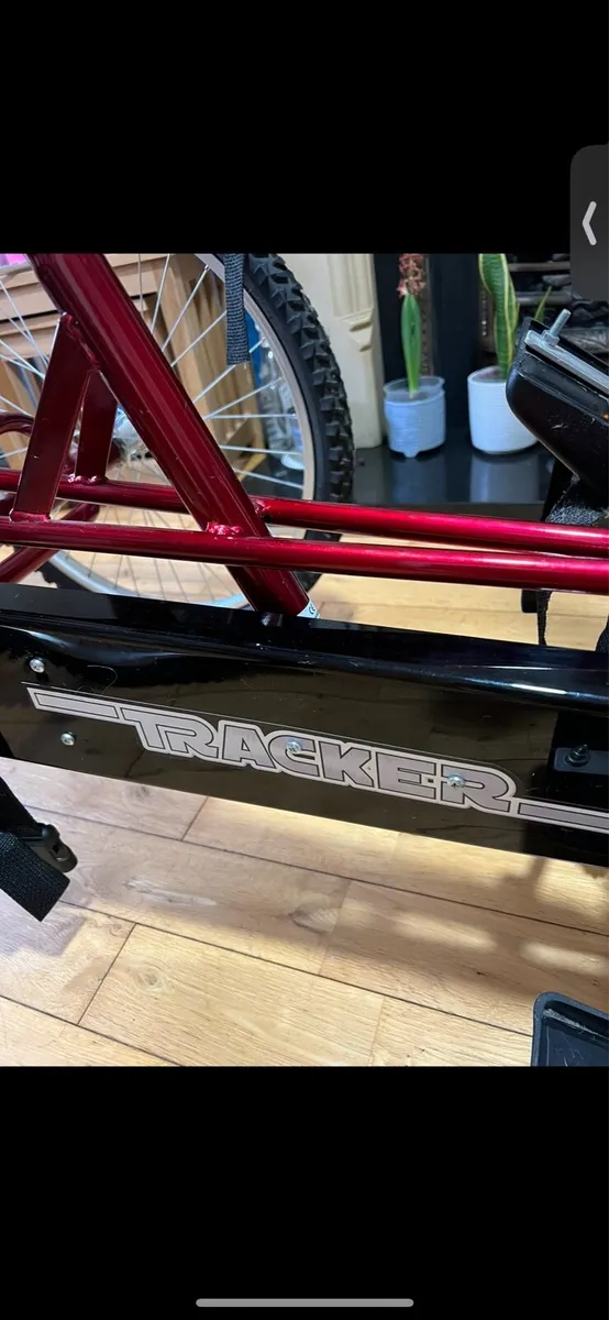 TheraPlay Adaptive Therapy Tricycle – For Sale - Image 3
