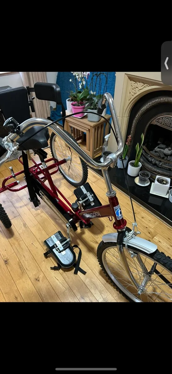 TheraPlay Adaptive Therapy Tricycle – For Sale - Image 1