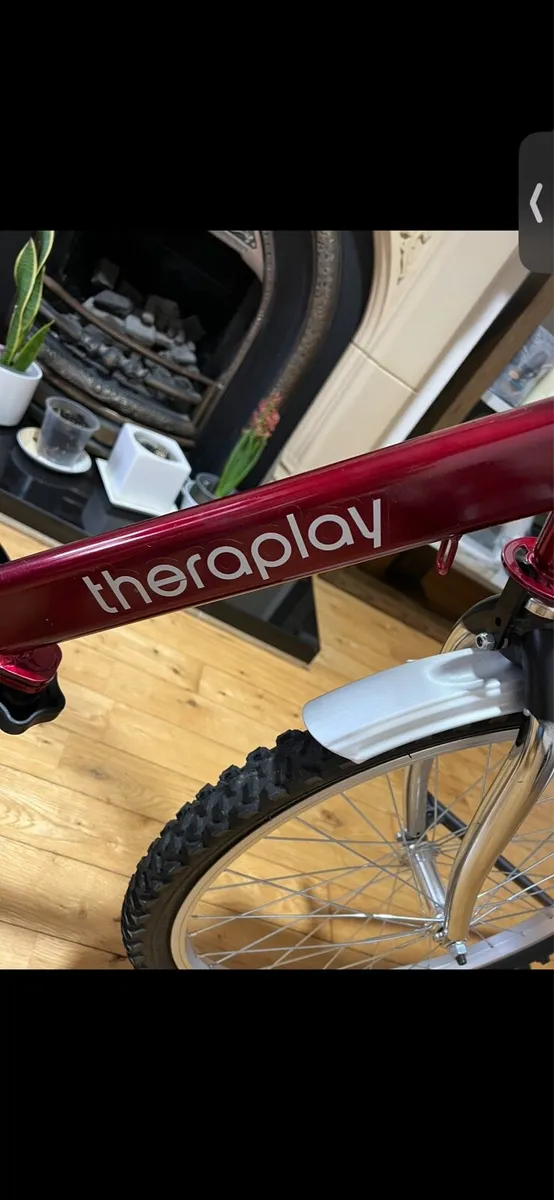 TheraPlay Adaptive Therapy Tricycle – For Sale - Image 2