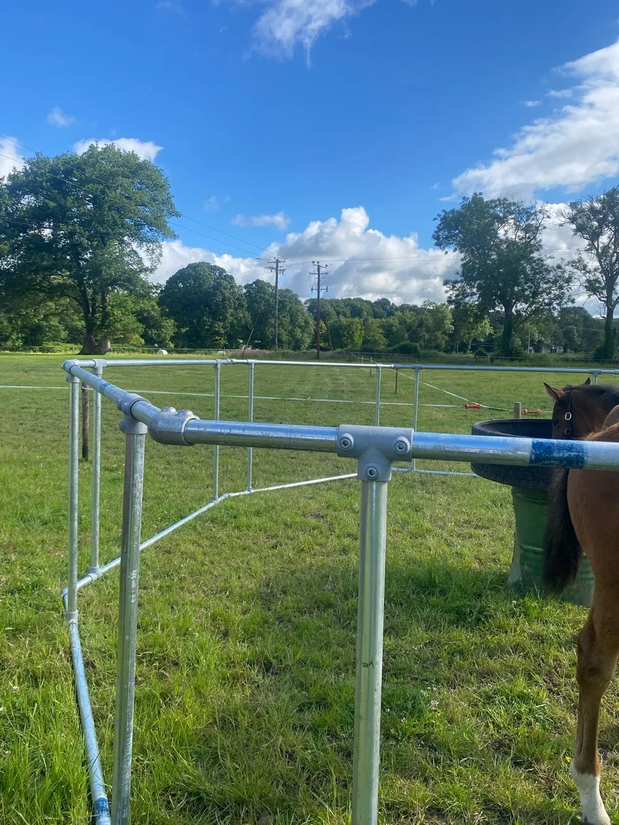 Foal Creep Feeder - Image 2