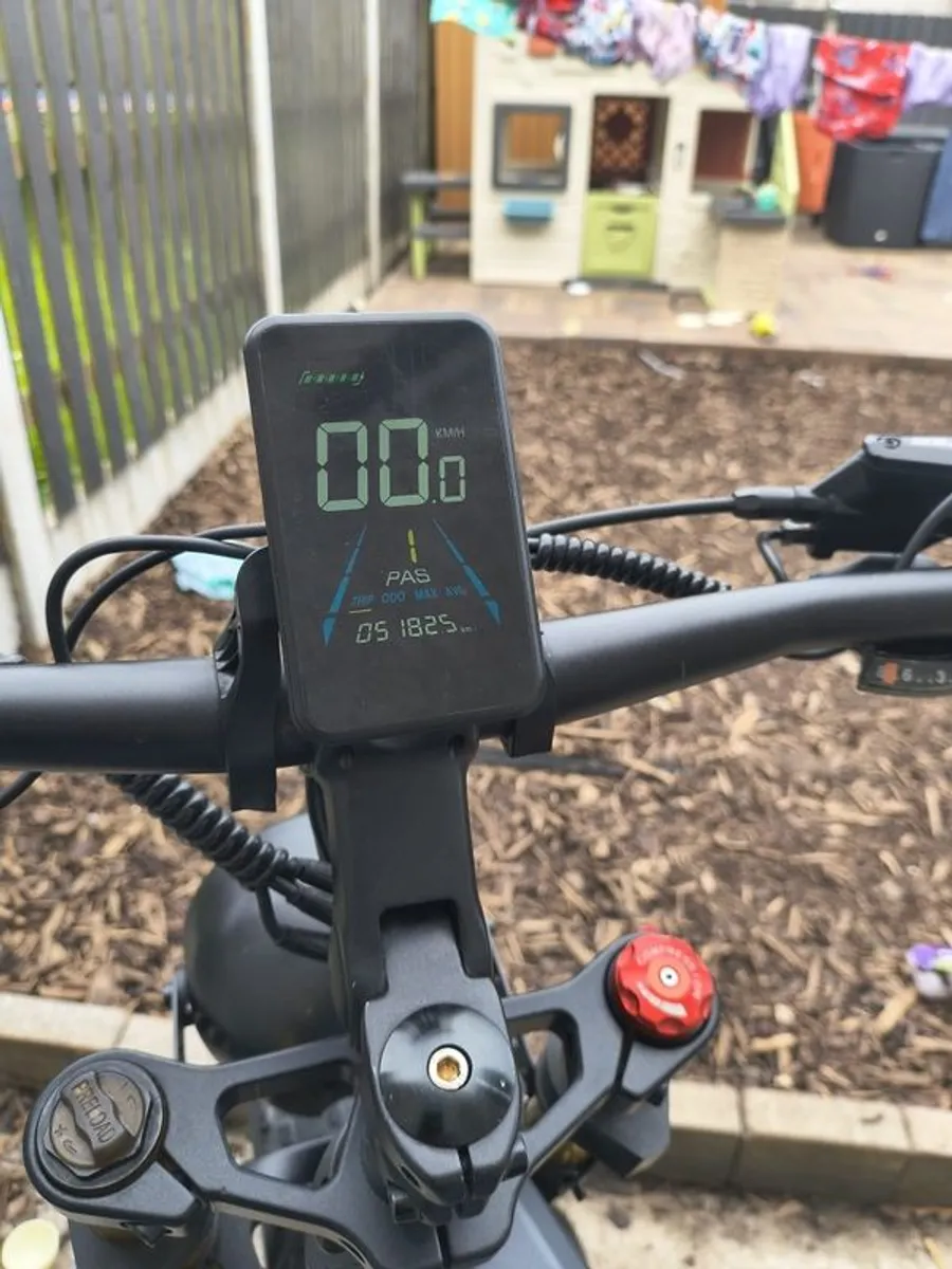 ebike - Image 1