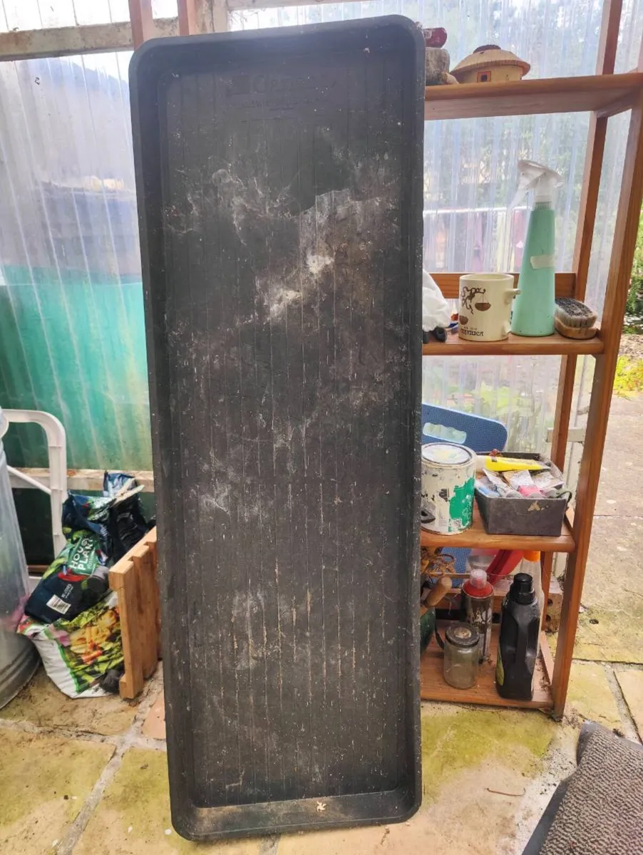 Large plastic tray