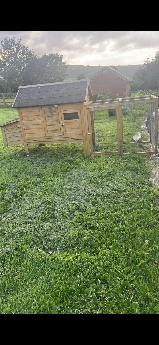 Chickens and Coop - Image 1