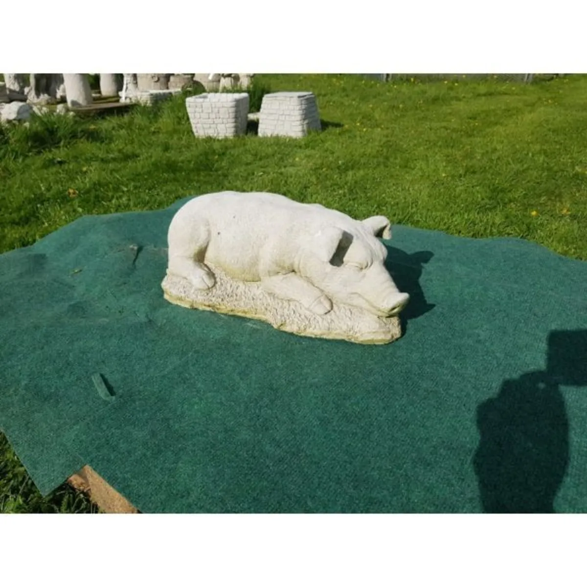 Hog – Sleeping-GL-SA026