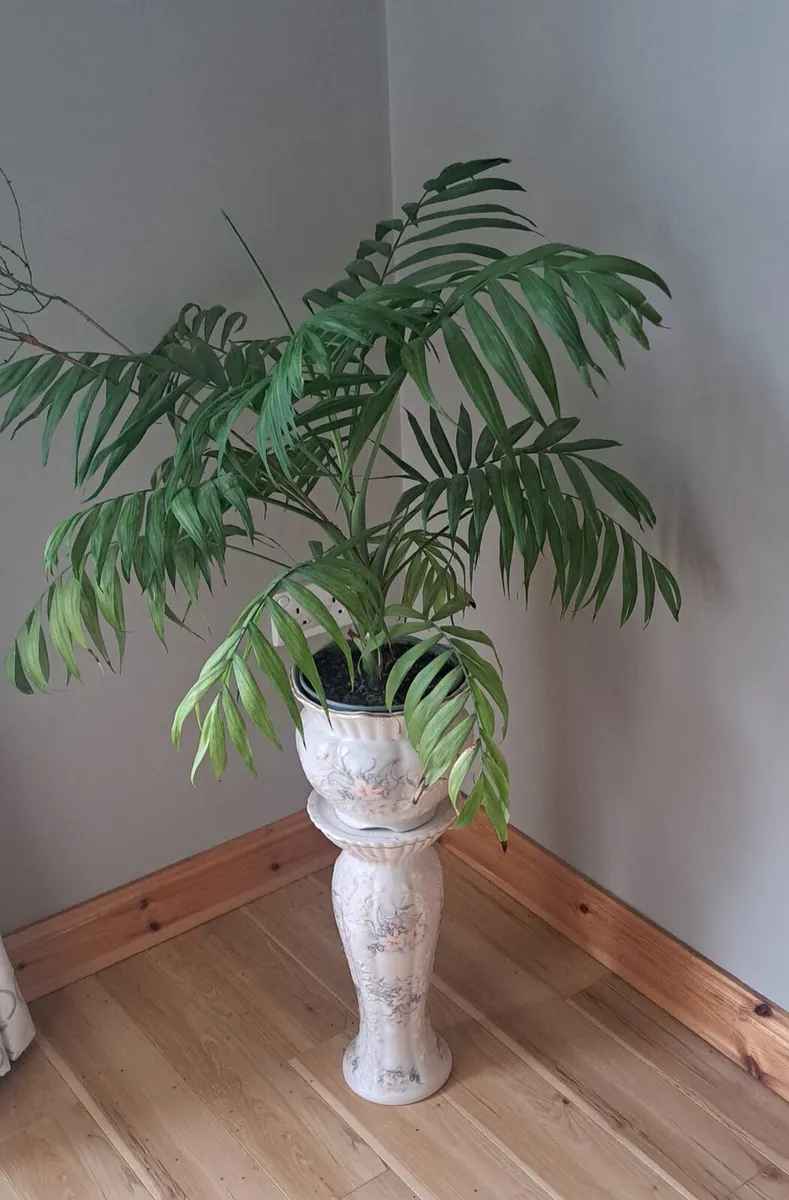Plant stand