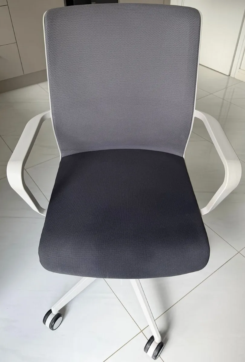 Senator Ergonomic Mesh Office Chair - Image 1