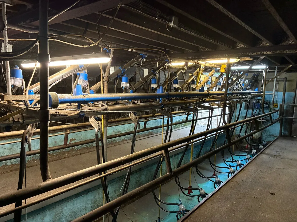12 unit’s dairymaster milking machine - Image 3