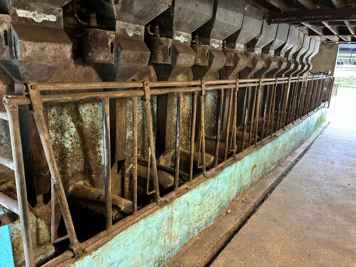 12 unit’s dairymaster milking machine - Image 4