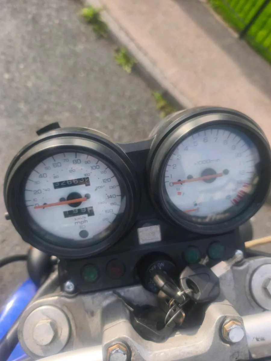 Honda hornet cb600 - Image 4
