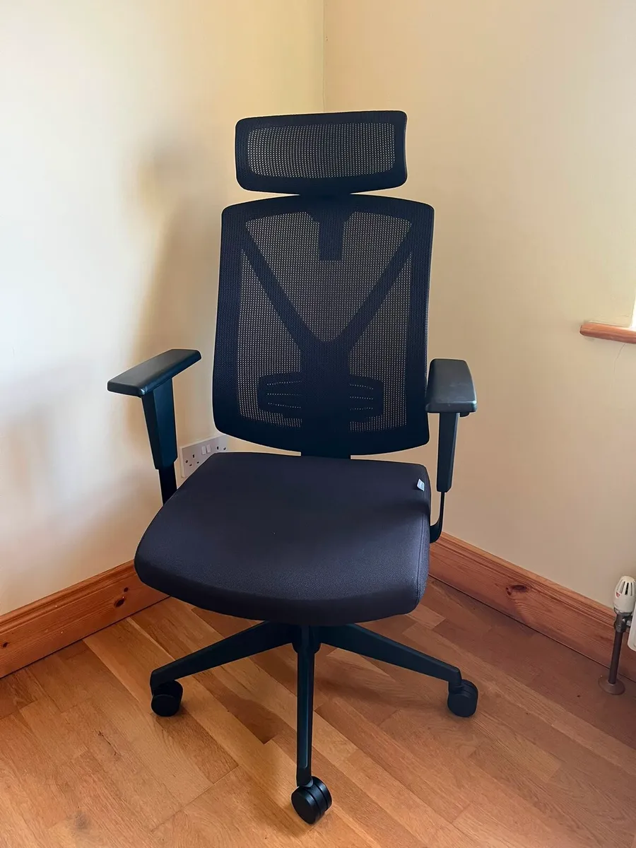 Ergonomic Office Chair - Image 1