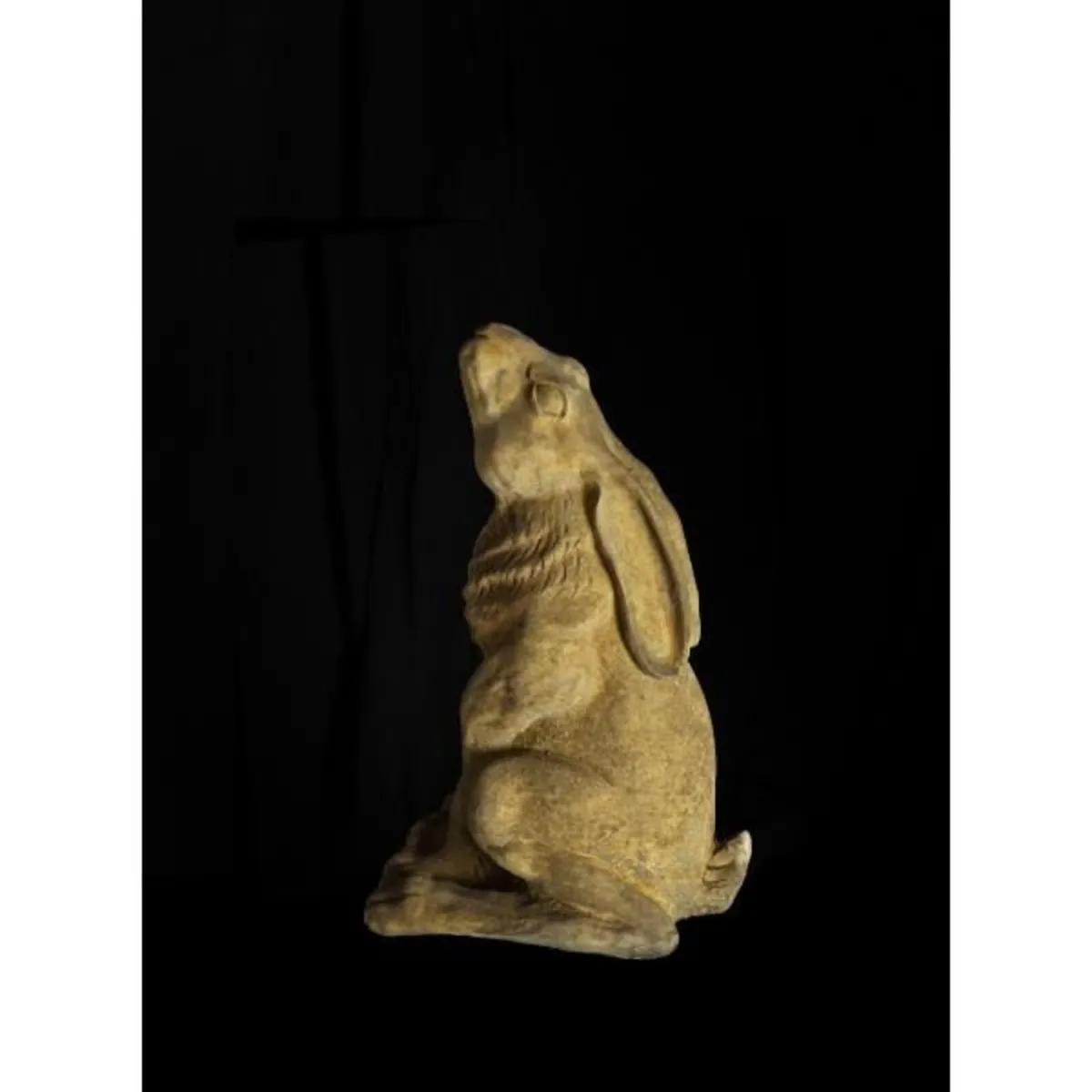 Moon Hare EG102