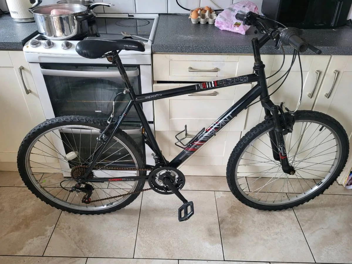 Mountain bike