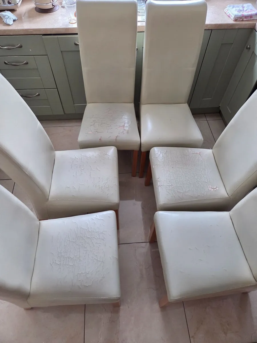 6 Kitchen Chairs - Image 1