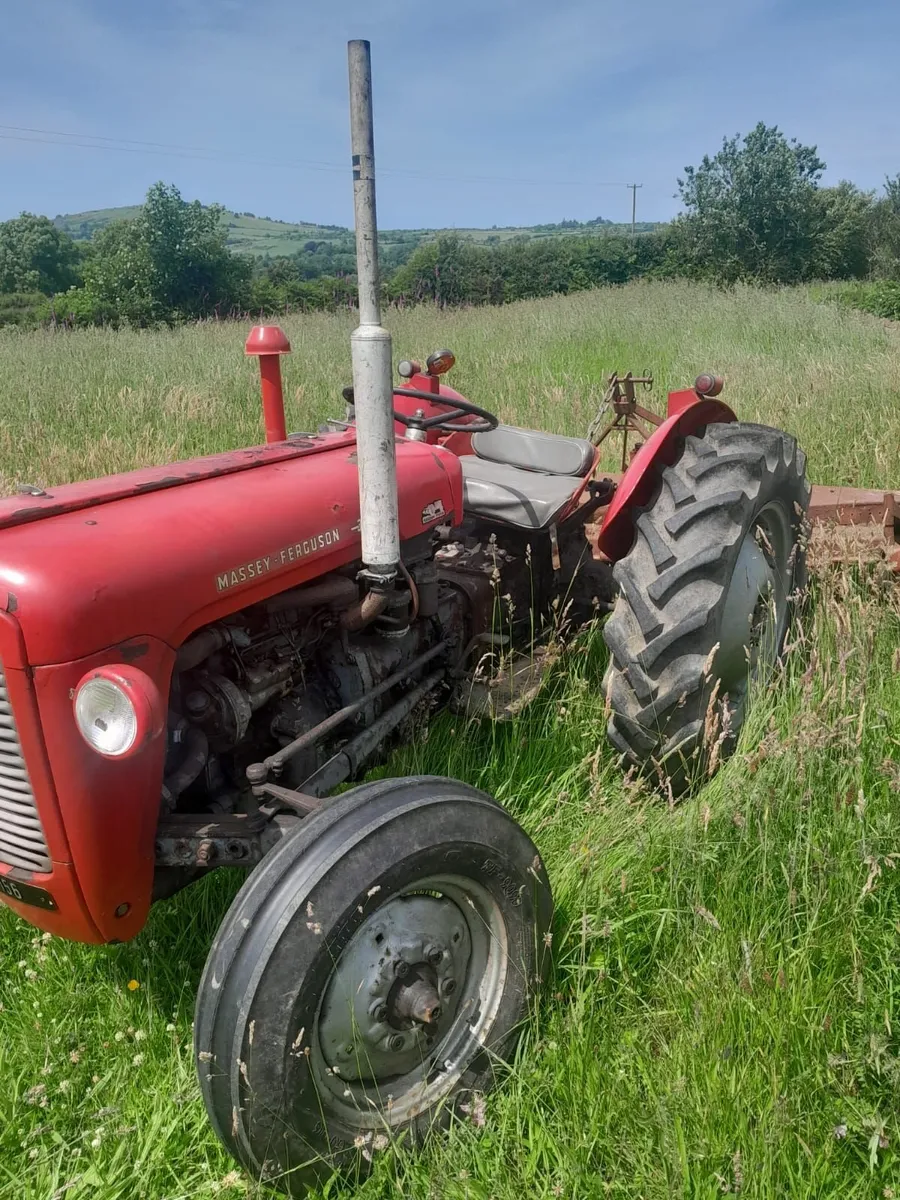 Massey Ferguson 35 & Caroni Mower - Image 2
