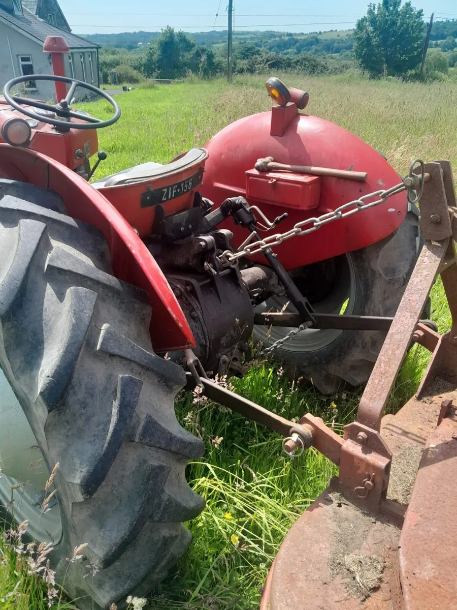 Massey Ferguson 35 & Caroni Mower - Image 3