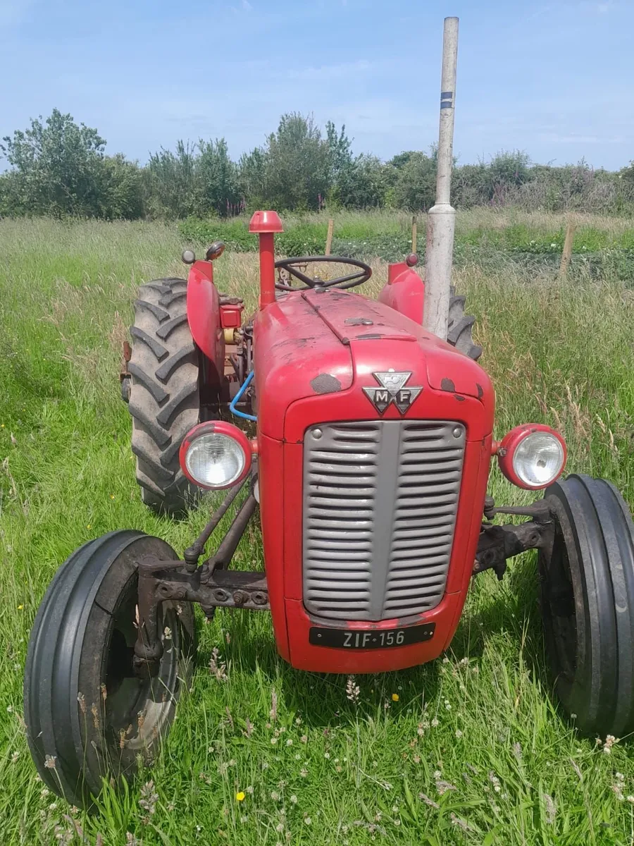 Massey Ferguson 35 & Caroni Mower - Image 1