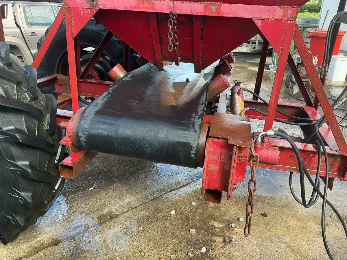 Yard clear out - Image 1