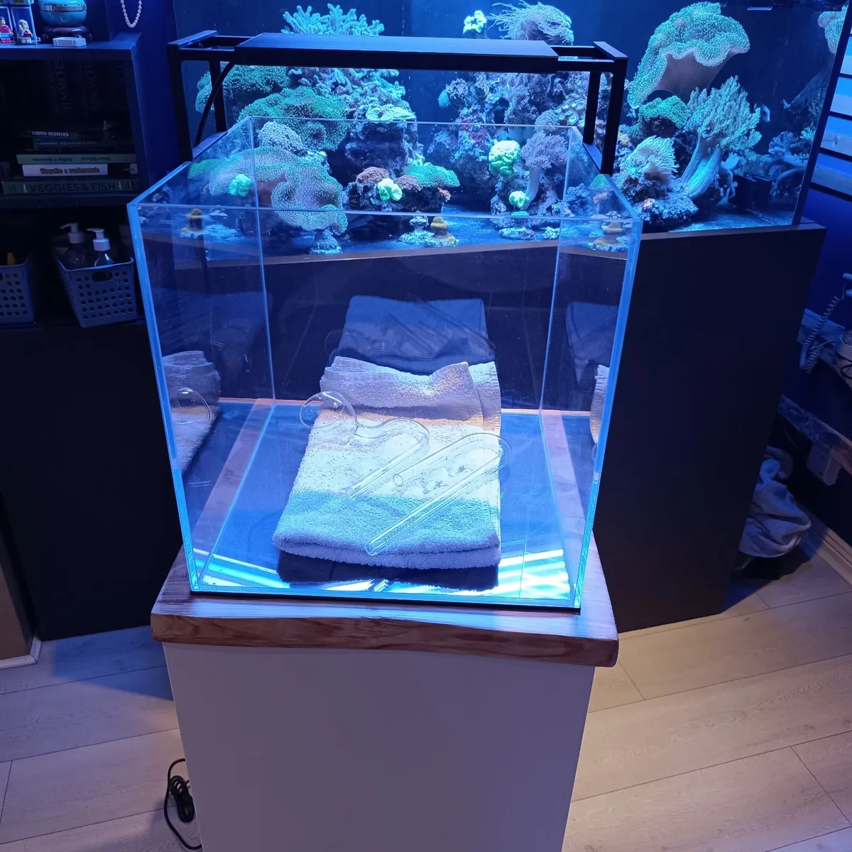 Nano fish tank, full set, optiwhite cube 64L - Image 3