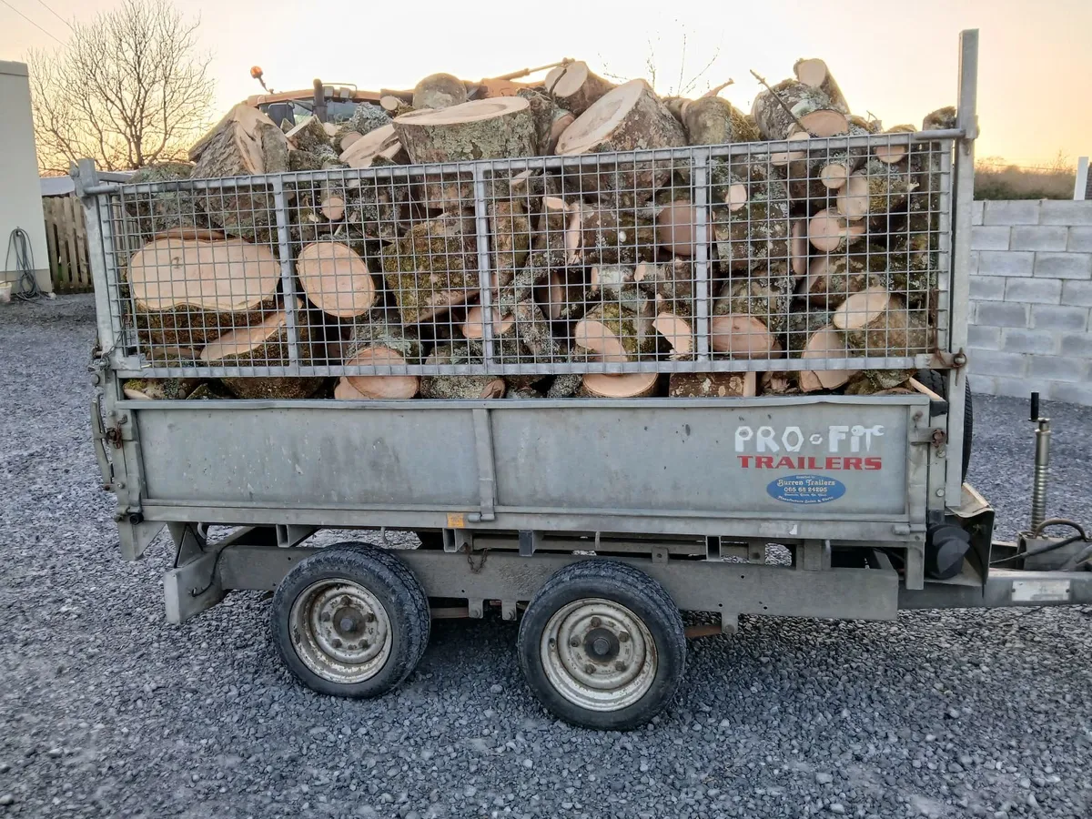 Ash Firewood - Image 2