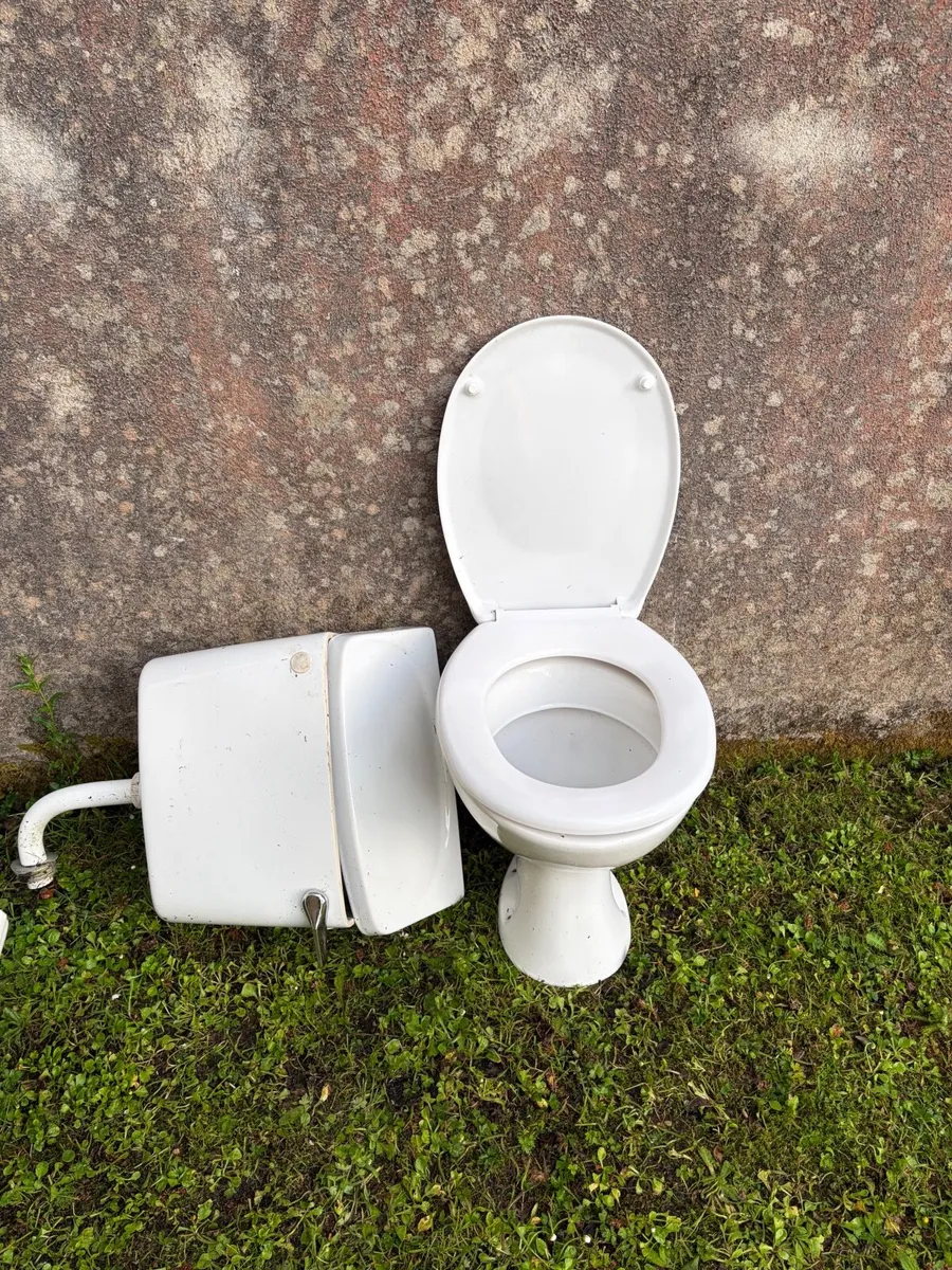 Toilet & sinks - Image 1