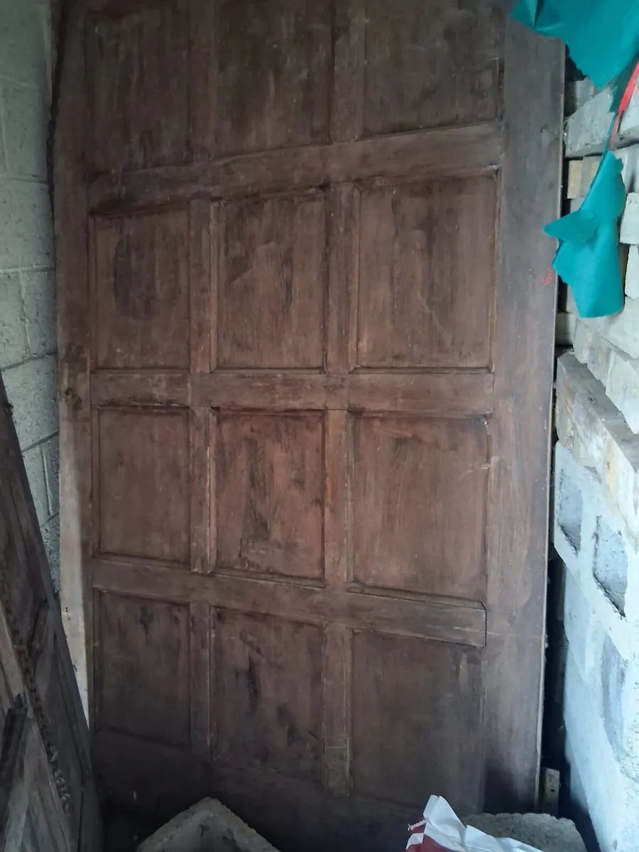 Teak Panel doors - Image 1