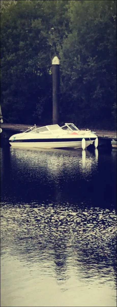 Campion A16, Evanrude E-Tec 90HP Outboard - Image 1