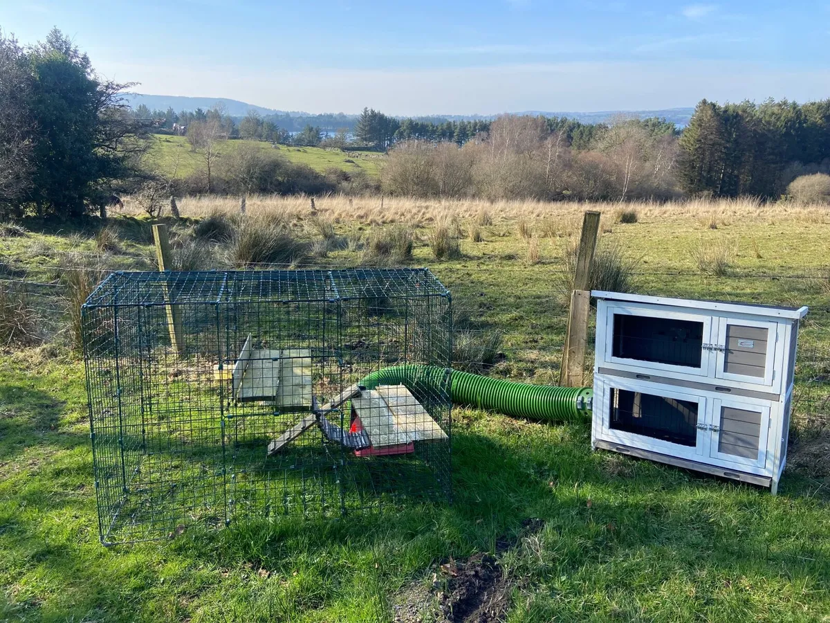 Omlet Zippi rabbit cage and run - Image 1