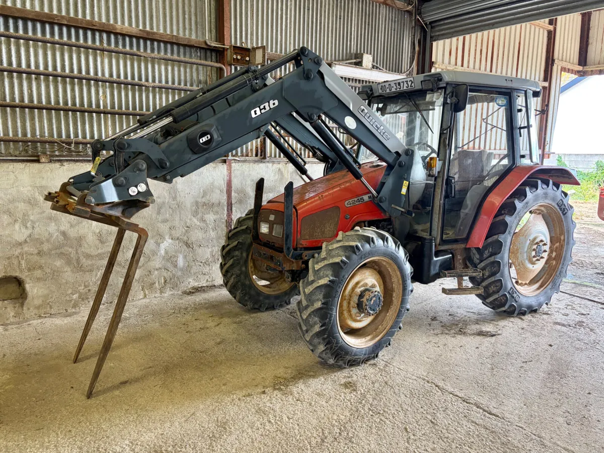 On Farm Auction Viewing @ Dublin Tomorrow - Image 2