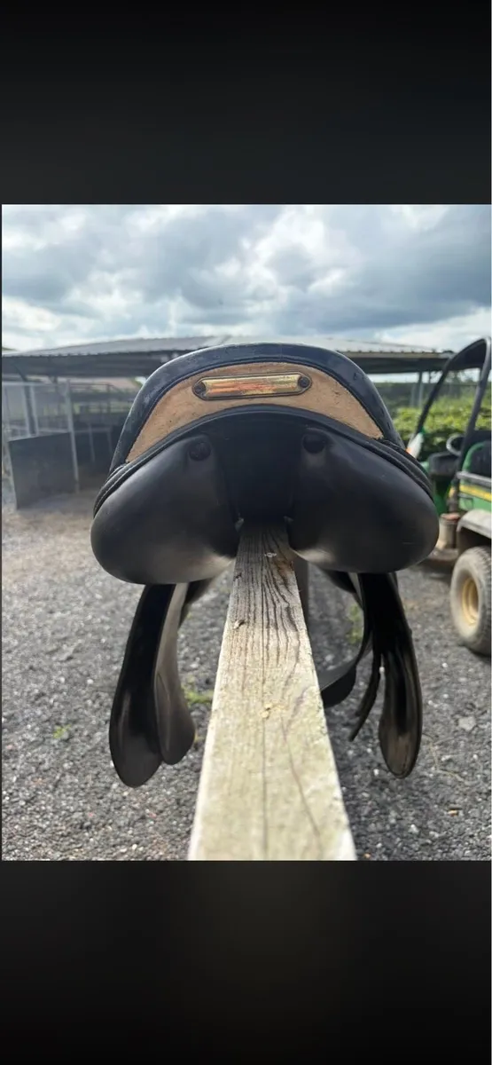 Saddle - Image 4