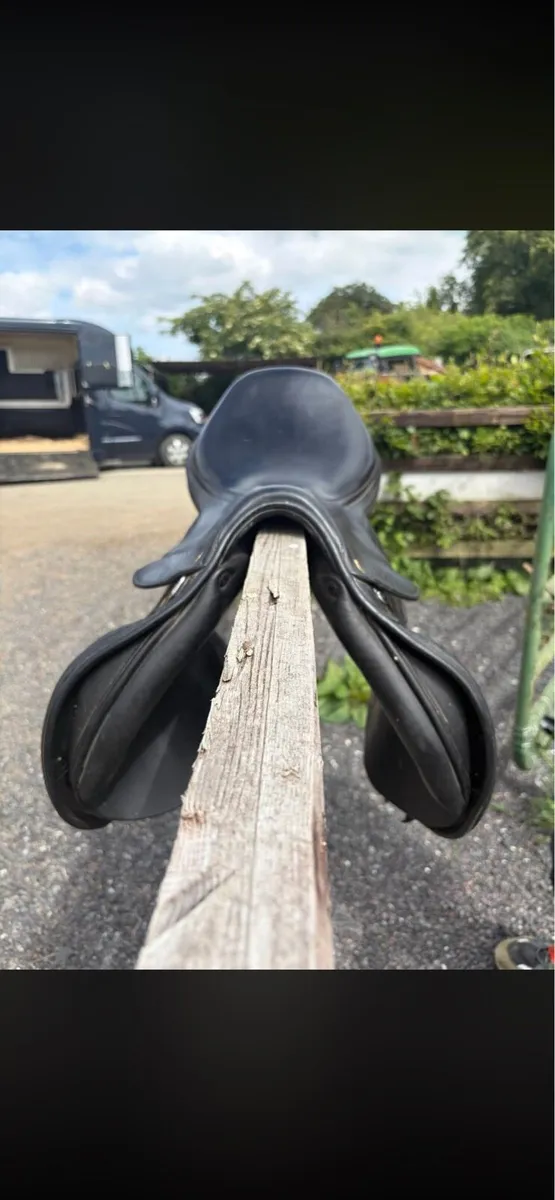 Saddle - Image 2