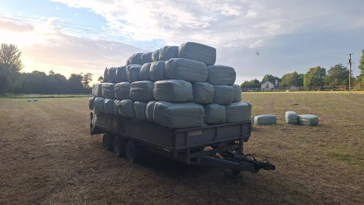 Square haylage - Image 1