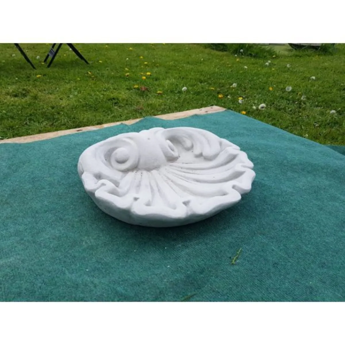 Shell – Large-GL-BB047