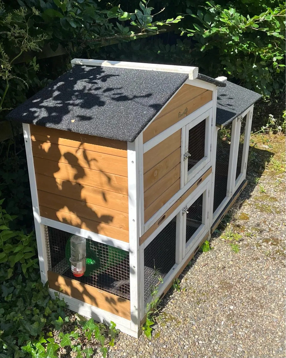 Pet hut - Image 2