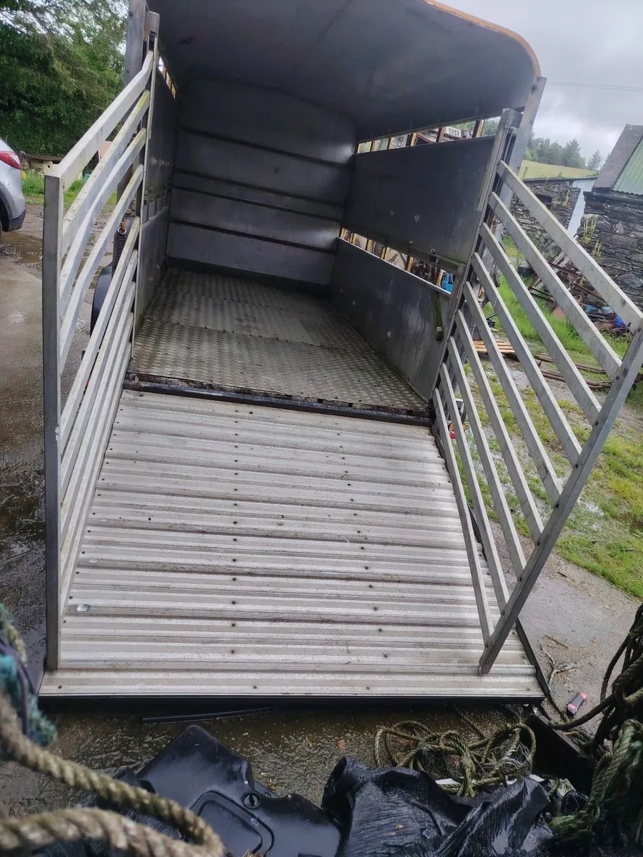 Ivor Williams 12 by 6 cattle trailer - Image 3
