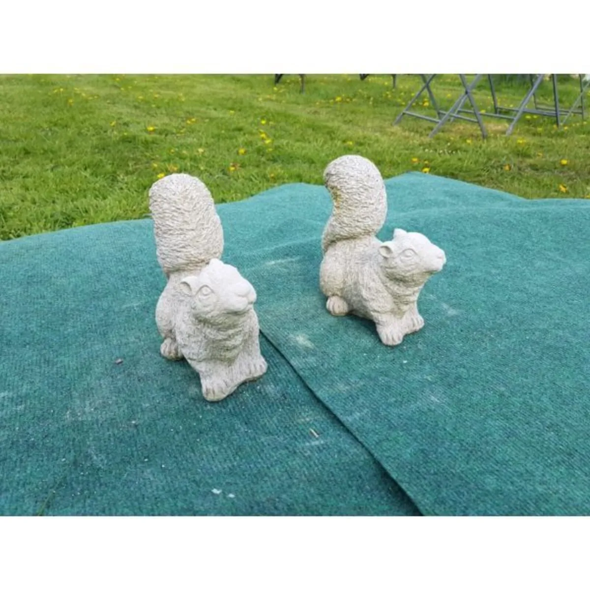 Squirrel – Small-SA018