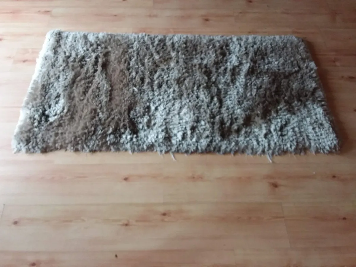 Rug - Image 1