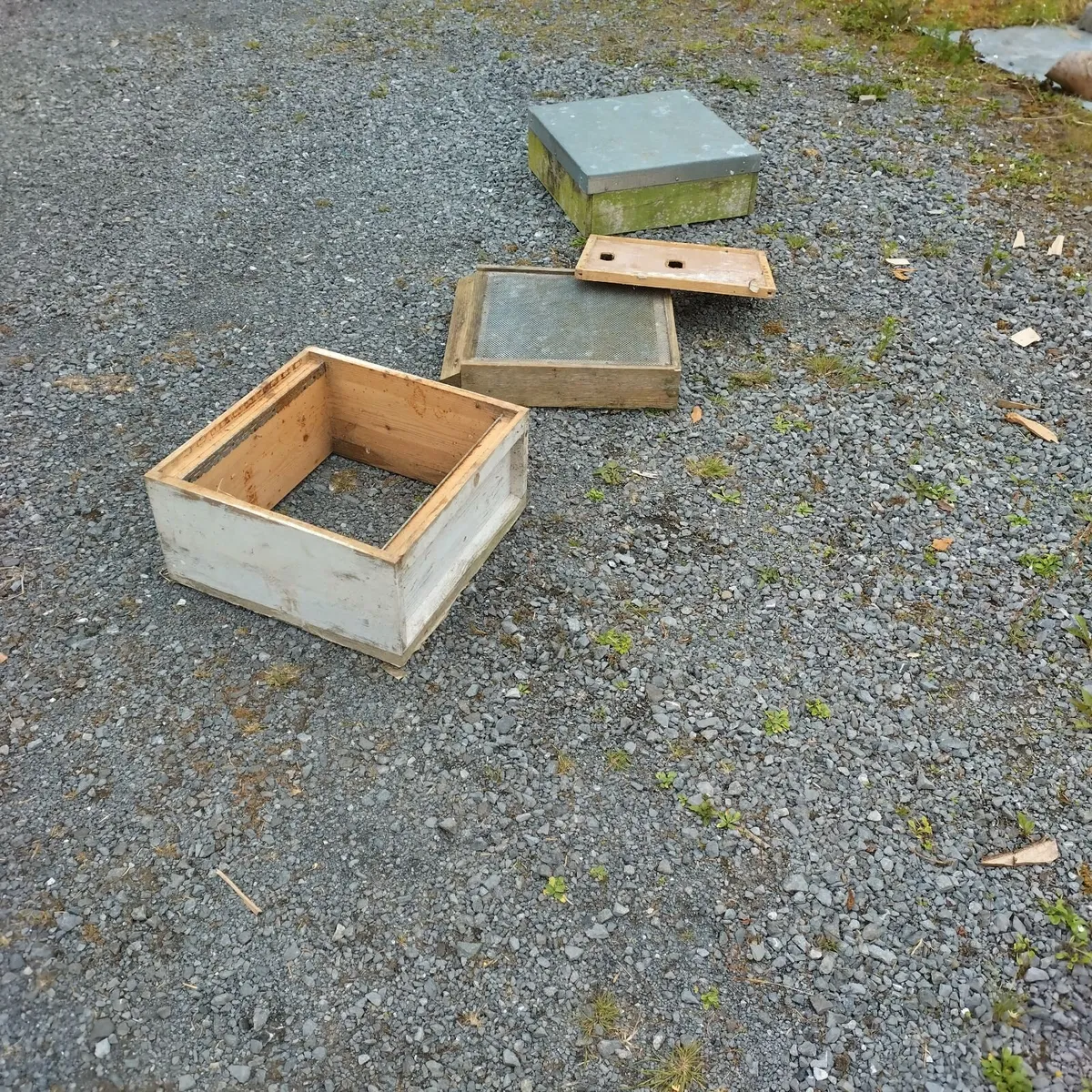Bee Hive - Image 1