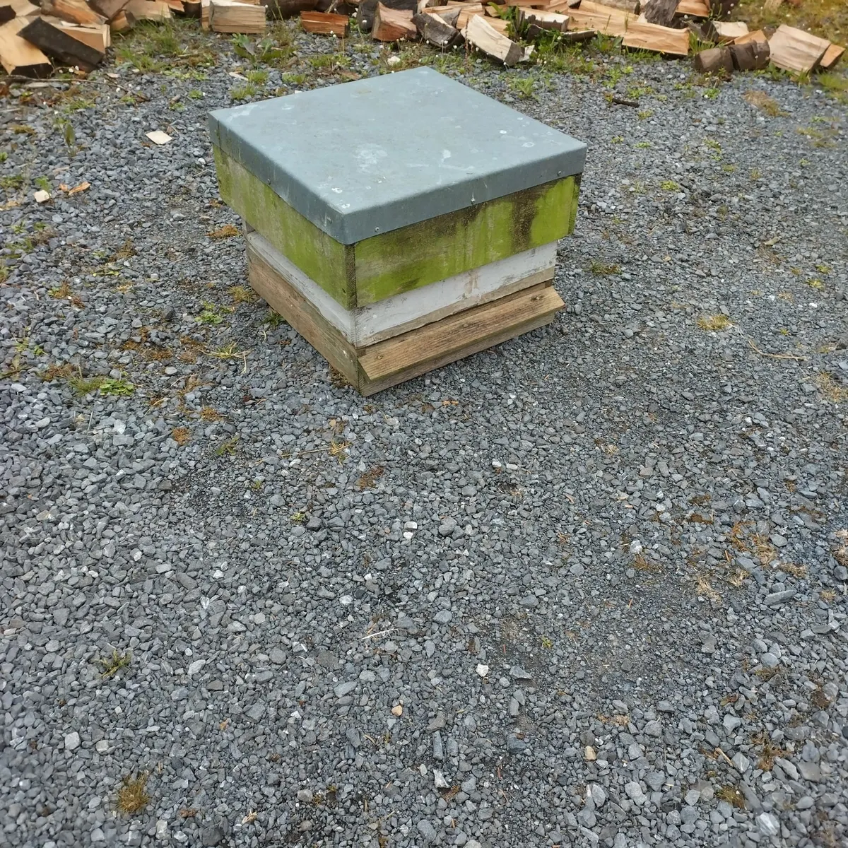 Bee Hive - Image 2