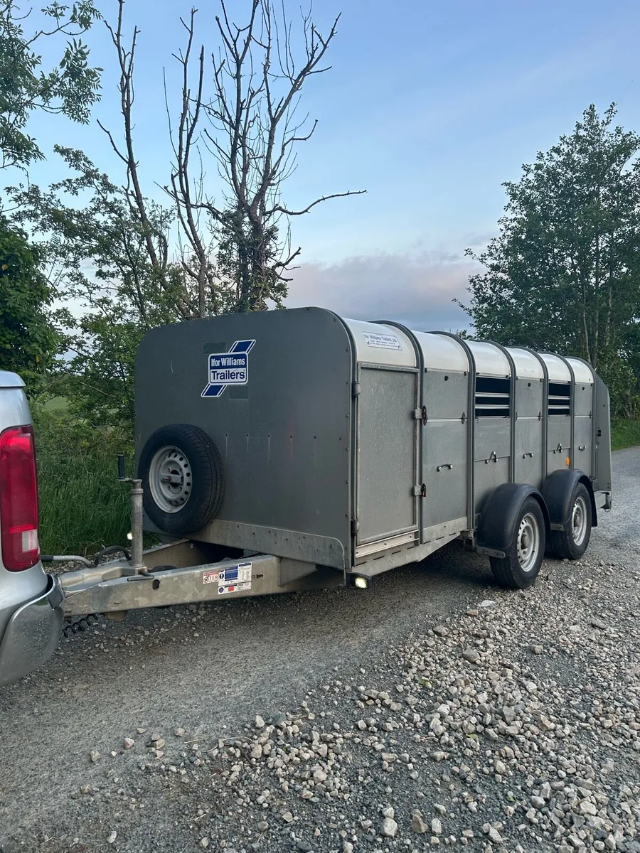 Ifor williams 12x5 - Image 1