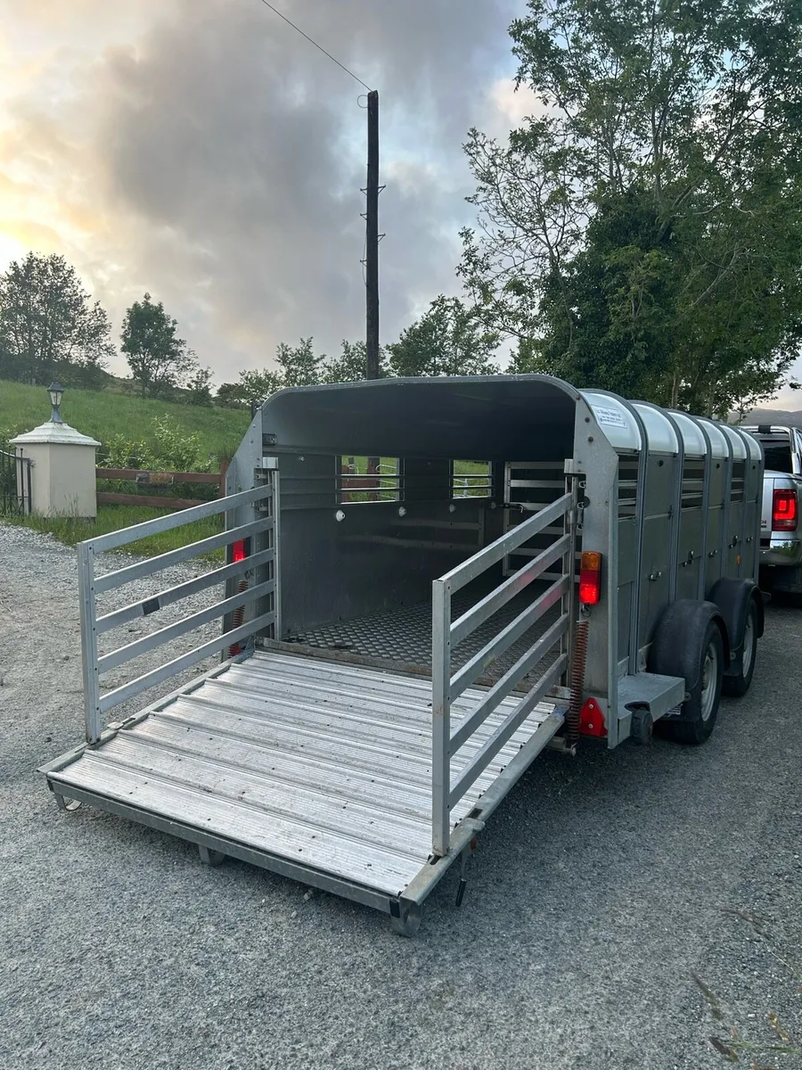 Ifor williams 12x5 - Image 3