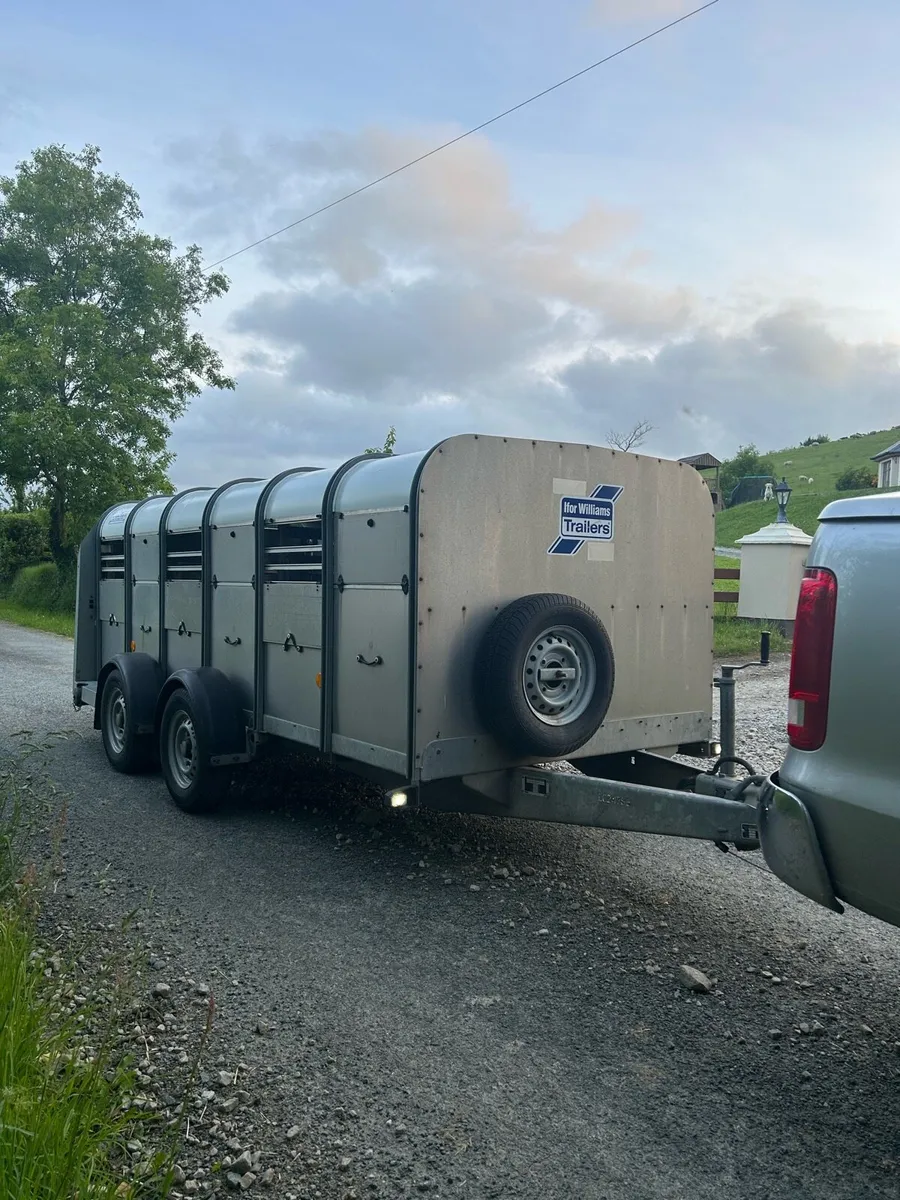 Ifor williams 12x5 - Image 4
