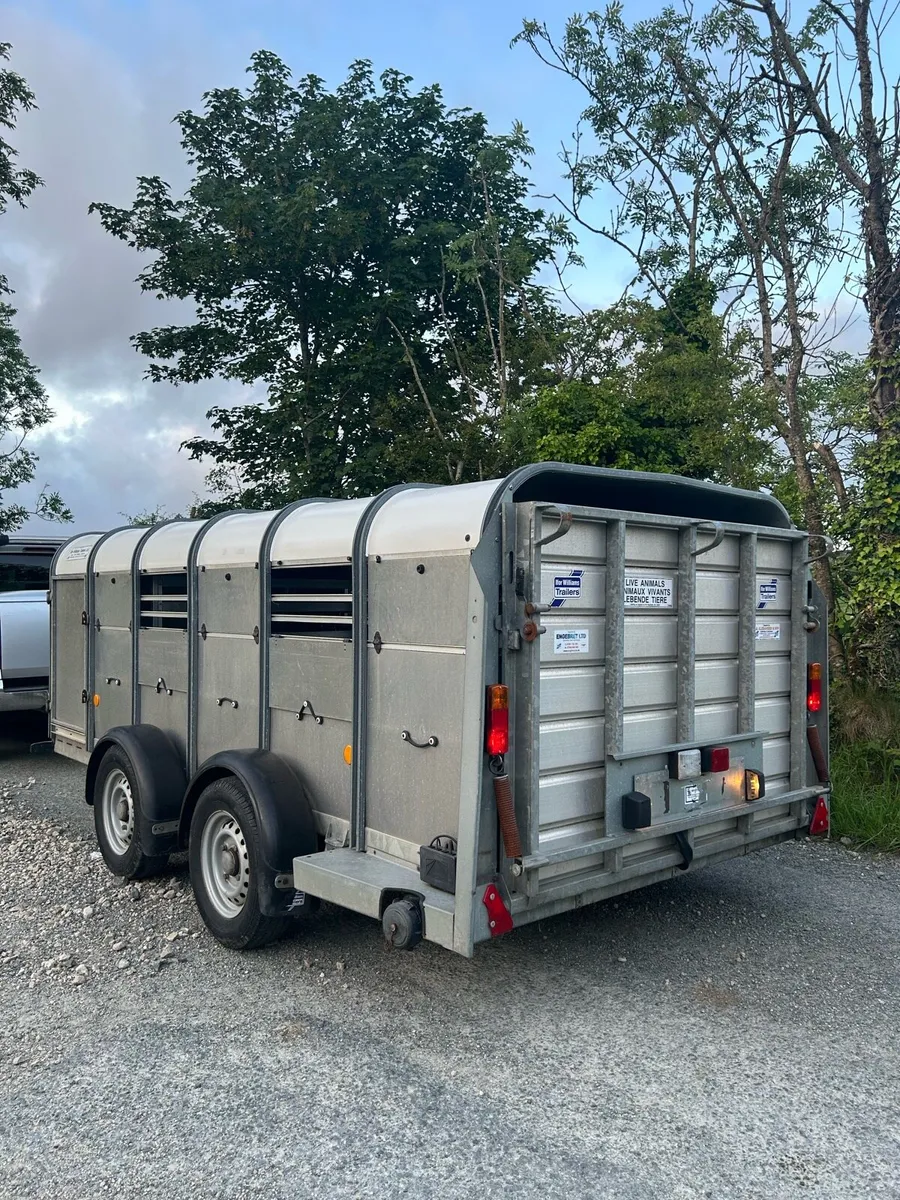 Ifor williams 12x5 - Image 2
