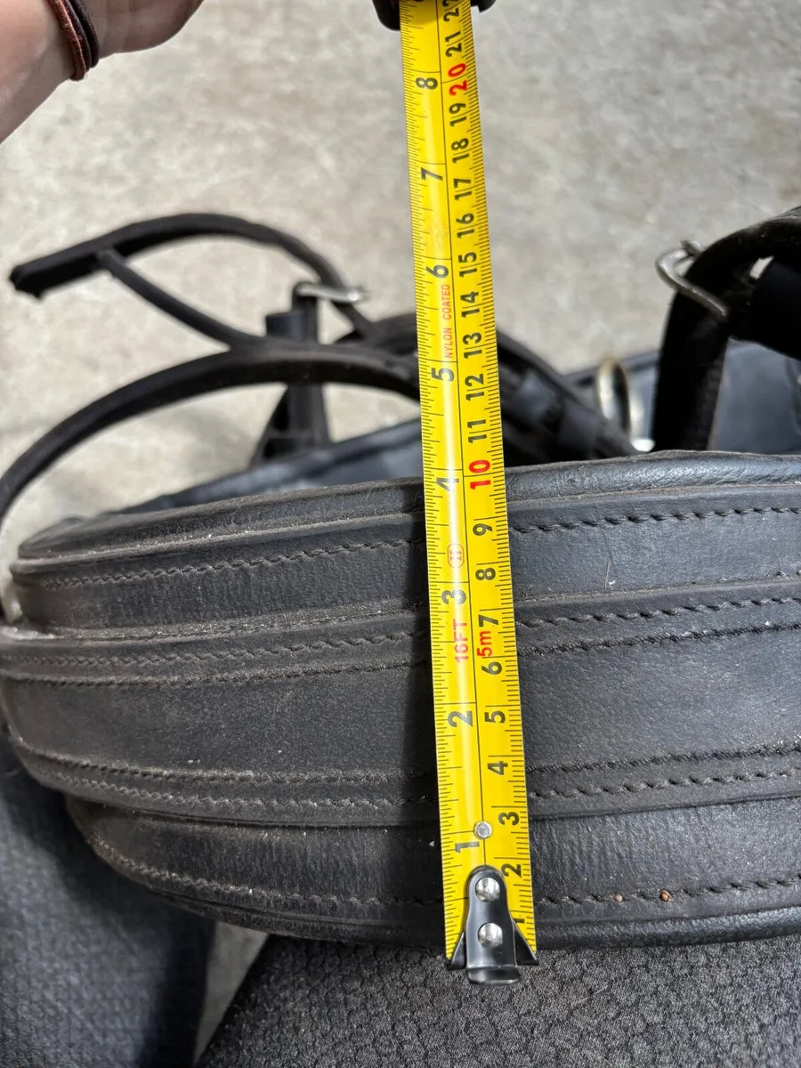 Horse pairs driving harness - Image 2