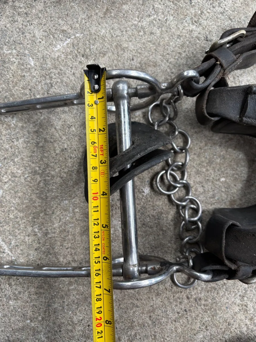 Horse pairs driving harness - Image 3