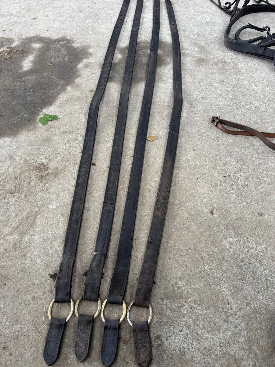 Horse pairs driving harness - Image 4