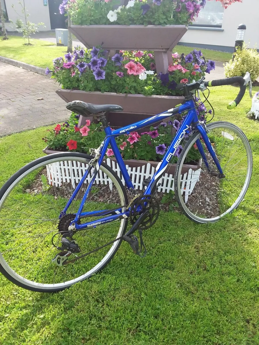14 speed full size bike in excellent condition - Image 1