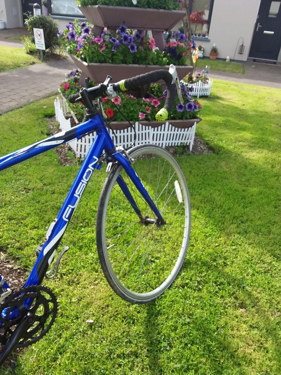 14 speed full size bike in excellent condition - Image 2