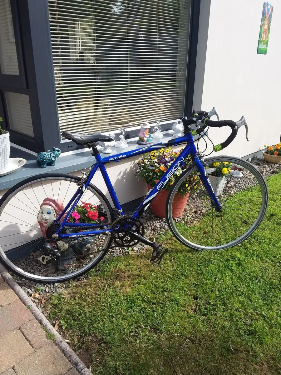 14 speed full size bike in excellent condition - Image 3