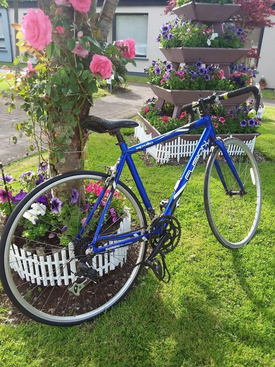 14 speed full size bike in excellent condition - Image 4