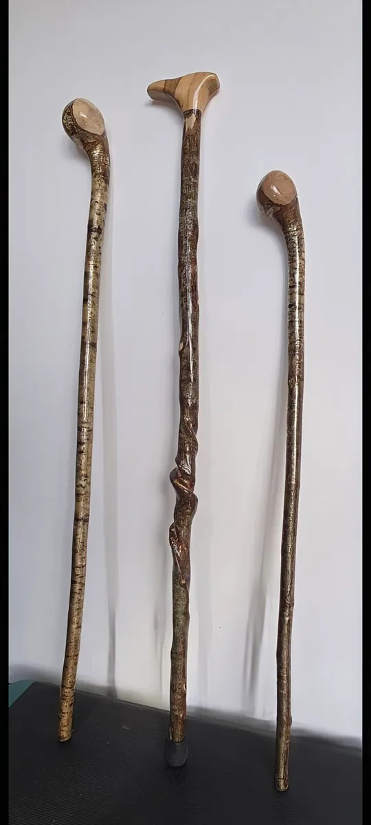 Walking stick